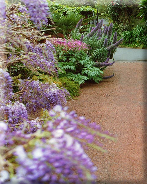 Arapito Drive way